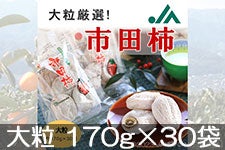 市田柿 | JAみなみ信州公式オンラインショップ