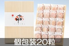 JAみなみ信州 市田柿 桐化粧箱 個包装20粒 12月18日-26日頃発送