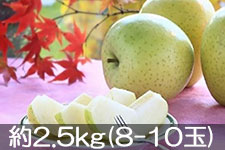 �y2026�p���}CP�zJA�݂ȂݐM�B ���� �G ��2.5kg(8-10��) �@��11���o��