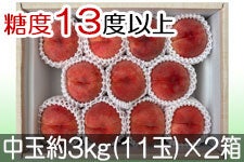 JAO[ PX ʖ3kg(11)×2yz722-815