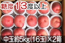 JAO[ PX ʖ5kg(16)×2 722-815