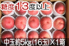 JAO[ PX ʖ5kg(16)×1 722-815