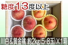 JAO[ 쒆Hה׃Zbg PX 2kg(5-8)×1yz815-30