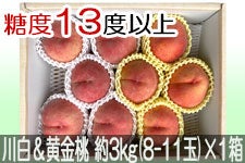 JAO[ 쒆Hה׃Zbg PX 3kg(8-11)×1yz815-30