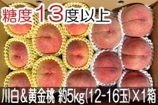 JAO[ 쒆Hה׃Zbg PX 5kg(12-16)×1 815-30
