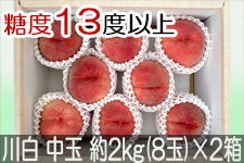 JAO[ 쒆 PX ʖ2kg(8)×2yz815-30