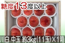 JAO[ 쒆 PX ʖ3kg(11)×1yz815-30