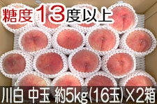 JAO[ 쒆 PX ʖ5kg(16)×2 815-30