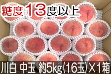 JAO[ 쒆 PX ʖ5kg(16)×1 815-30