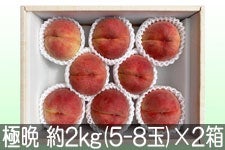 JAO[ ɔӐ퓍 PX 2kg(5-8)×2yz91-20