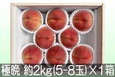 JAO[ ɔӐ퓍 PX 2kg(5-8)×1yz91-20