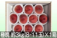 JAO[ ɔӐ퓍 PX 3kg(8-11)×1yz91-20