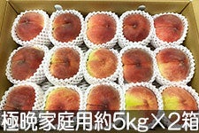 JAグリーン長野 極晩生種桃 家庭用 約5kg(12-16玉)×2箱 9月5日-9月16日頃発送