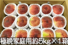 JAグリーン長野 極晩生種桃 家庭用 約5kg(12-16玉)×1箱 9月5日-9月16日頃発送