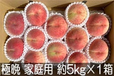 JAO[ ɔӐ퓍 ƒp 5kg(12-16)×1 91-20