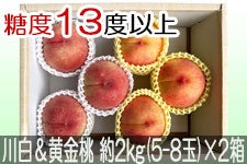 JAO[ 쒆Hה׃Zbg PX 2kg(5-8)×2yz815-30