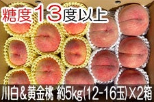 JAO[ 쒆Hה׃Zbg PX 5kg(12-16)×2 815-30