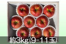 JAO[ VimXC[g 3kg(9-11)yz101-20