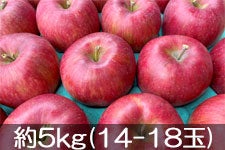 JAO[ VimXC[g 5kg(14-18)yz101-20