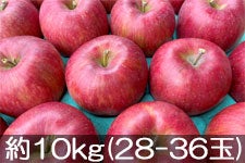 JAO[ VimXC[g 10kg(28-36)yz101-20