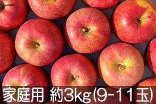 y2025p}CPz10{`{ JAO[ VimXC[g ƒp 3kg(9-11)
