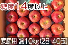 JAO[ VimXC[g ԏGv~Aƒp 10kg(28-40) 106-24 yx14xȏz