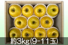 JAO[ VimS[h 3kg(9-11)yz 1020-117