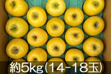 JAO[ VimS[h 5kg(14-18)yz 1020-117