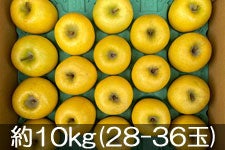 JAO[ VimS[h 10kg(28-36)yz 1014-31