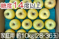 JAO[ VimS[h ԏGv~Aƒp 10kg(28-36) 1014-31 yx14xȏz