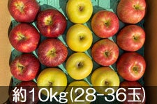 JAO[ 񂲎OZ(HfEVimXC[gEVimS[h)lZbg 10kg(28-36)yz1014-31