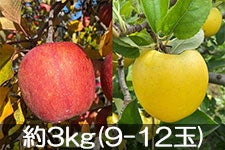 JAO[ TӂVimS[hlZbg 3kg(9-12)yz1117-1212