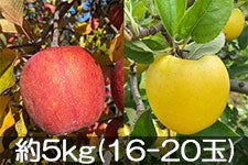 JAO[ TӂVimS[hlZbg 5kg(14-20)yz1115-128