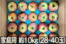 JAO[ Vimbv ƒp 10kg(28-40) 818-26