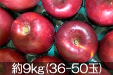 JAO[ g 9kg(36-50) 916-30