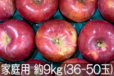JAO[ g ƒp 9kg(36-50) 916-30