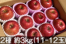 JA�O���[������ �T���ӂ����V�i�m�X�C�[�g�l�����Z�b�g ��3kg(11-12��)�y�������z