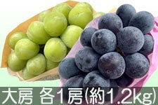 JAO[ VC}XJbgEiKmp[vZbg [ e1[(1.2kg)yz916-25