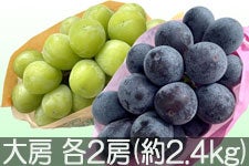 JAO[ VC}XJbgEiKmp[vZbg [ e2[(2.4kg)yz916-25