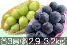 JAO[ VC}XJbgEiKmp[vZbg e3[(3kg)yz916-25