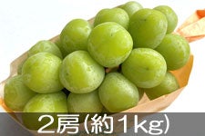 y2025p}CPz10{`{ JAO[ VC}XJbg 2[(1kg)