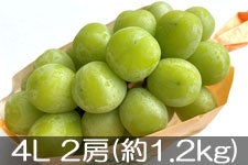 ｒｉｒｉｅ　長野シャインマスカット約4.5kg JAグリーン長野 シャインマスカット 4房(約1.8kg)【贈答箱】3期