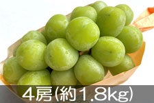 JAグリーン長野 冷蔵シャインマスカット 4房(約1.8kg)【贈答箱】12月8日-19日頃発送