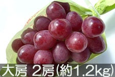 JAO[ NC[[W [ 2[(1.2kg)yz916-1017