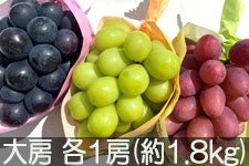 JAO[  ԂǂOo(iKmp[vEVC}XJbgENC[[W)  [ e1[(1.8kg)yz 916-25