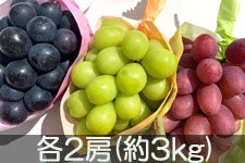 JAO[ ԂǂOo(iKmp[vEVC}XJbgENC[[W) e2[(3kg)yz 916-25