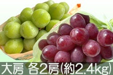 JAO[ NC[[WEVC}XJbgZbg [ e2[(2.4kg)yz101-17