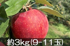 JAO[ Vimbv 3kg(9-11)yz818-26