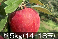 JAO[ Vimbv 5kg(14-18) 818-26