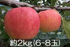 JAO[ Vimh`F 2kg(6-8)  916-30